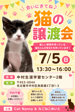 猫の譲渡会in名古屋