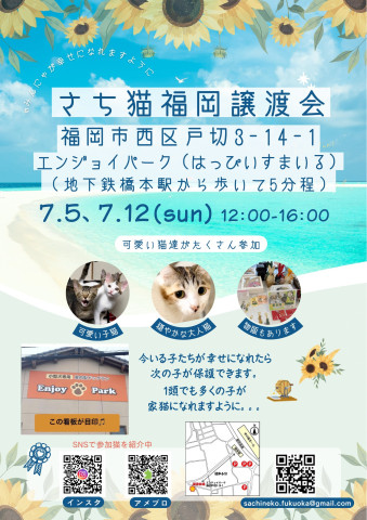 さち猫福岡譲渡会　エンジョイパーク（はっぴいすまいる）