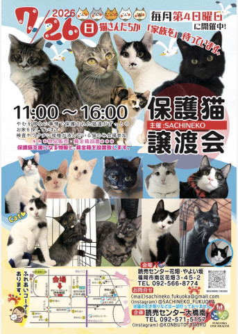 さち猫福岡譲渡会　読売センター花畑・やよい坂