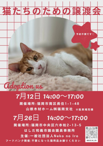 猫たちのための譲渡会