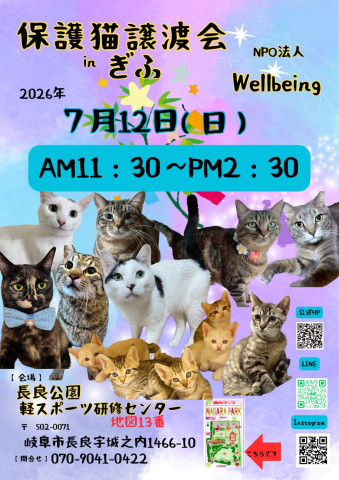 保護猫譲渡会inぎふ