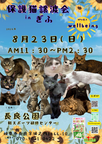 保護猫譲渡会inぎふ