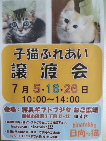 猫好きのためのSNS - 愛猫の日記や写真でユーザ交流