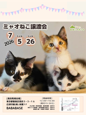 ミャオねこ譲渡会◆高田馬場
