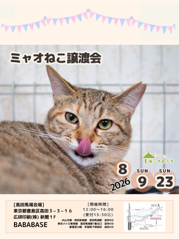ミャオねこ譲渡会◆高田馬場