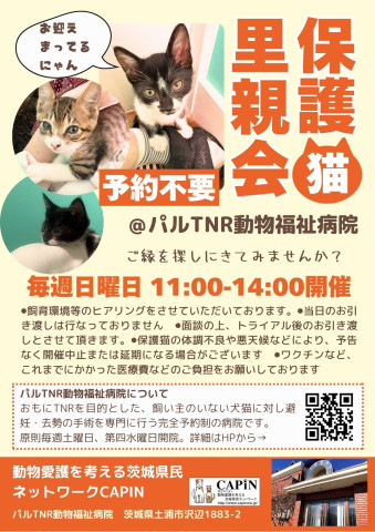 CAPIN  パルTNR動物福祉病院 保護猫里親会