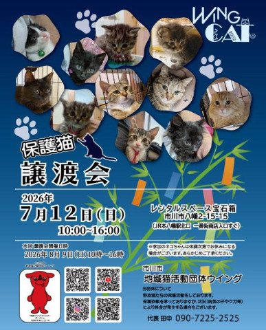 市川市地域猫活動団体ウイング譲渡会