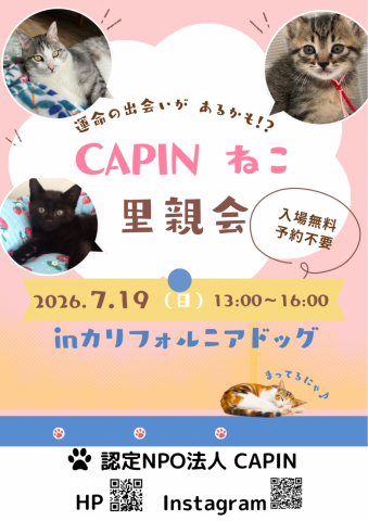 CAPIN カリフォルニアドッグ保護猫里親会