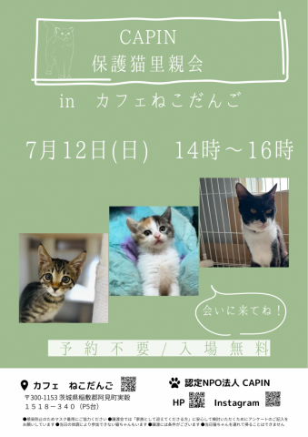 CAPIN カフェねこだんご　保護猫里親会