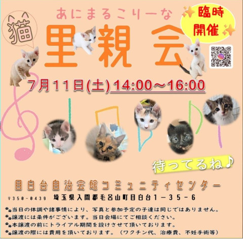 あにこり猫の里親会