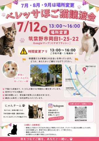 ベレッサほご猫譲渡会
