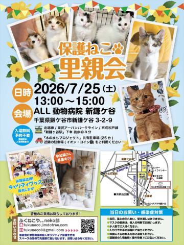 保護ねこ里親会 @ 新鎌ヶ谷