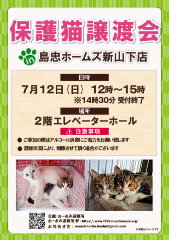 おーあみ避難所譲渡会in新山下