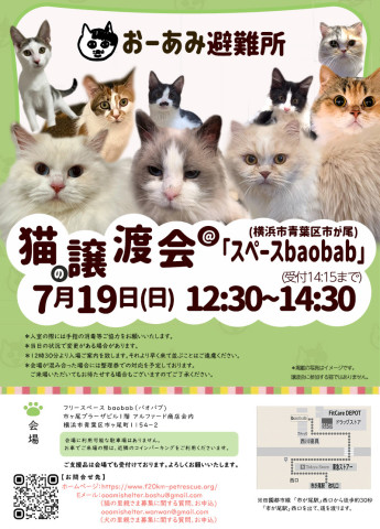おーあみ避難所譲渡会in市ヶ尾