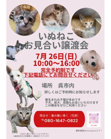 いぬねこ譲渡会
