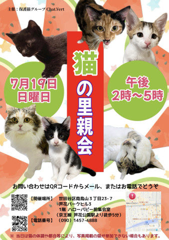 猫の里親会