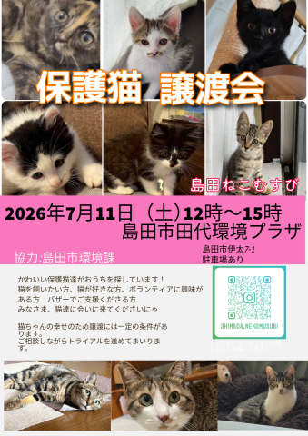 島田ねこむすび譲渡会