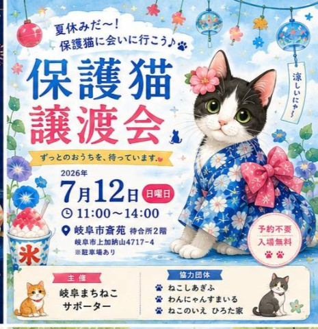 岐阜市保護猫  譲渡会