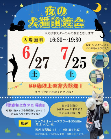 60歳以上の方大歓迎！夜の犬猫譲渡会