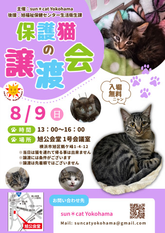 保護猫の譲渡会@sun＊cat Yokohama