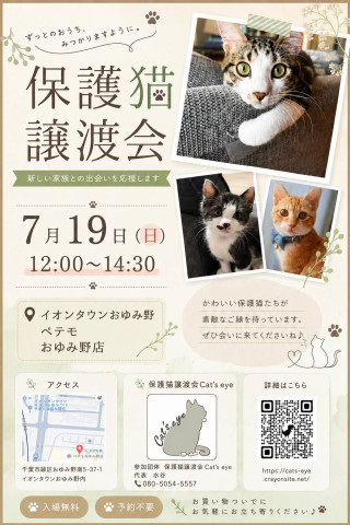 保護猫譲渡会Cat'seye