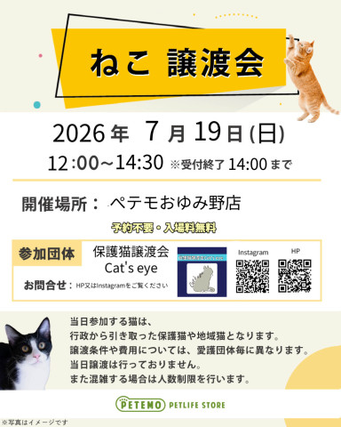 保護猫譲渡会Cat'seye
