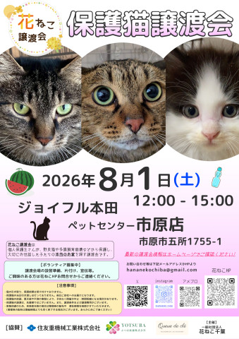 花ねこ譲渡会