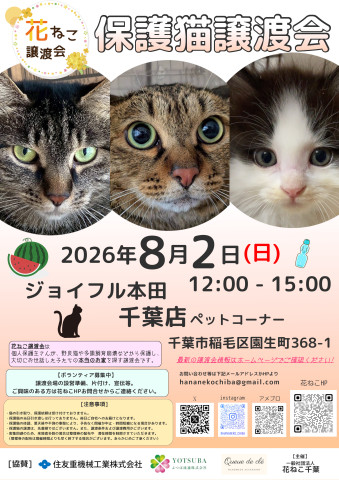 花ねこ譲渡会