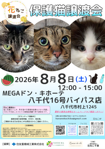 花ねこ譲渡会