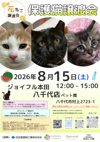 花ねこ譲渡会