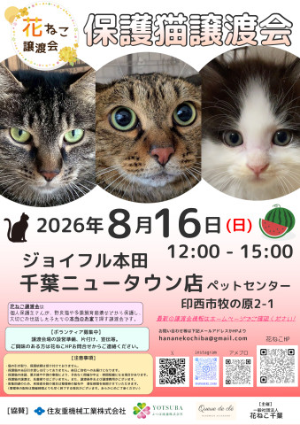 花ねこ譲渡会
