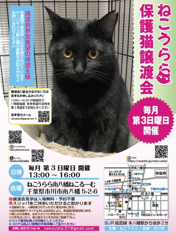 ねこうらら 保護猫譲渡会