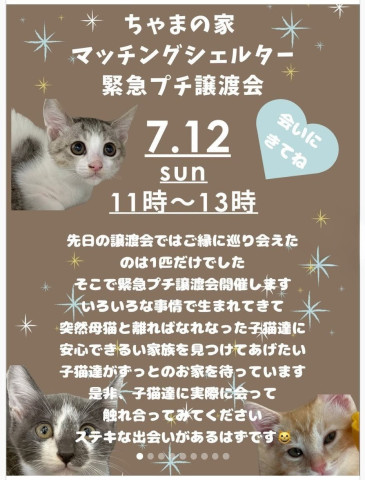 緊急プチ譲渡会開催