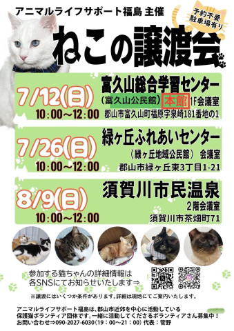 猫の譲渡会
