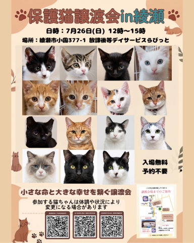 保護猫譲渡会in綾瀬