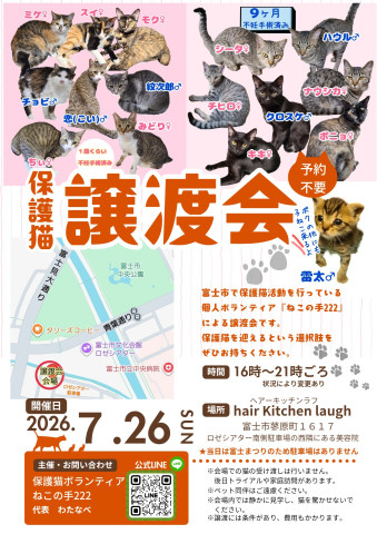 保護猫譲渡会～富士まつり～