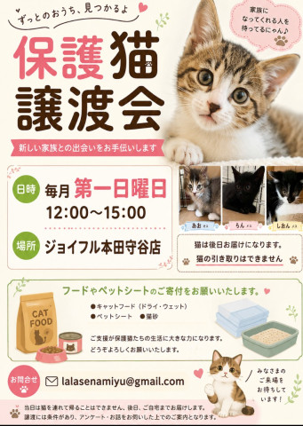 守谷譲渡会(=^・・^=)