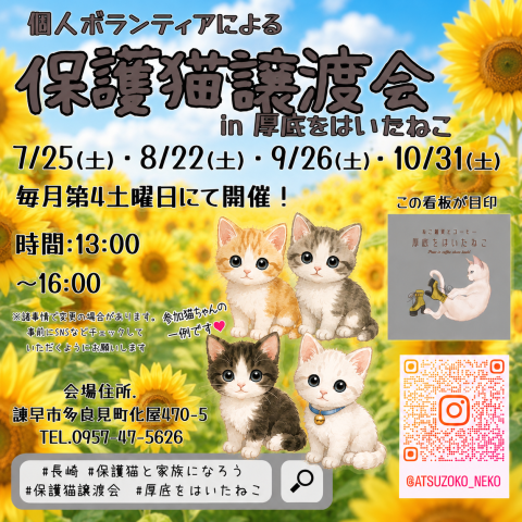長崎の個人ボランティアによる保護猫譲渡会