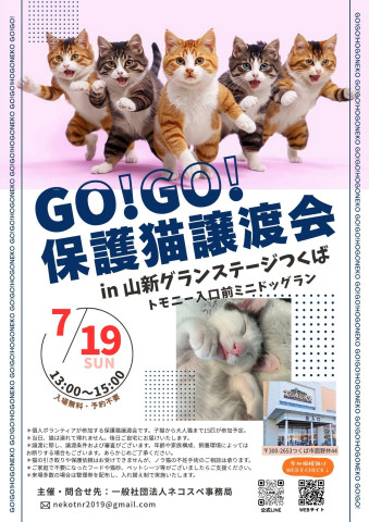 GO！GO！保護猫譲渡会