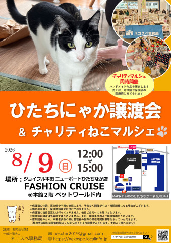 ひたちにゃか譲渡会 - 猫の譲渡会掲示板