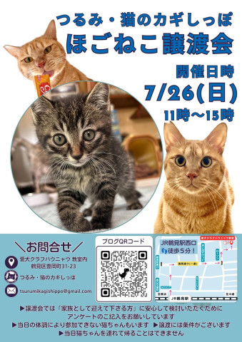 つるみ・猫のカギしっぽ譲渡会　JR鶴見駅西口歩5分室内開催