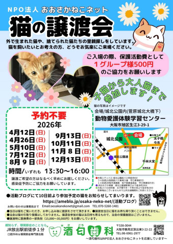NPO法人おおさかねこネット　猫の譲渡会