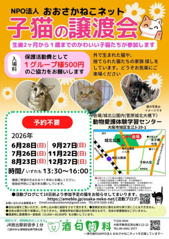 NPO法人おおさかねこネット　猫の譲渡会