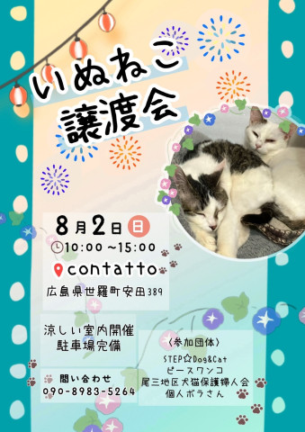 いぬねこ譲渡会