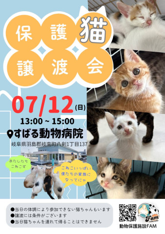 子猫祭り！保護猫譲渡会in岐阜