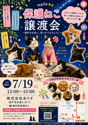 maile保護ねこ譲渡会