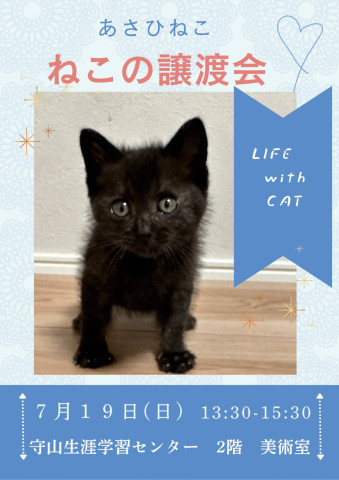 ねこの譲渡会