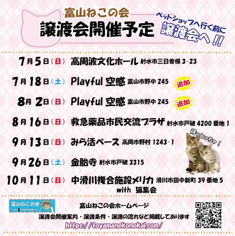 富山ねこの会　保護ねこ譲渡会