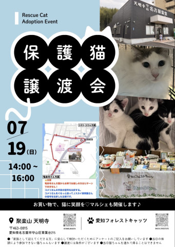 保護猫譲渡会＆ねこグッズ物販　名古屋市