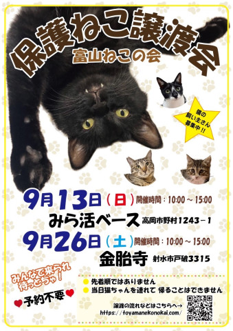 富山ねこの会　保護ねこ譲渡会